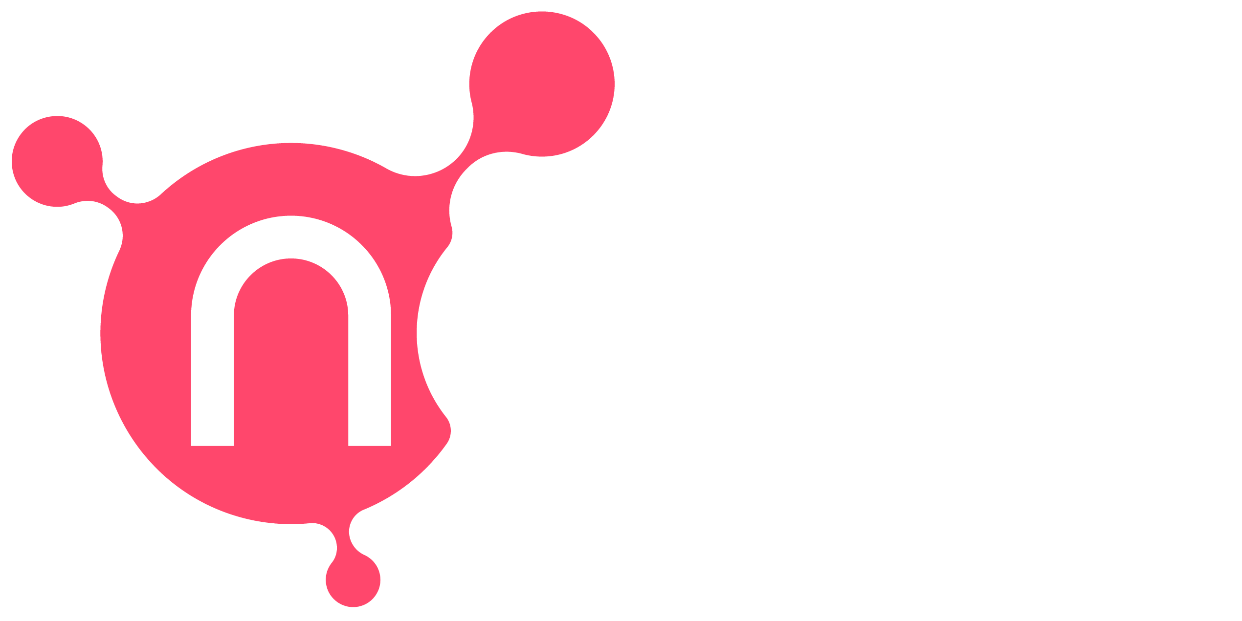 Netris New Logo 2026 white